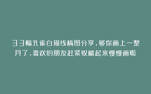 33幅孔雀白描线稿图分享，够你画上一整月了，喜欢的朋友赶紧收藏起来慢慢画啦！