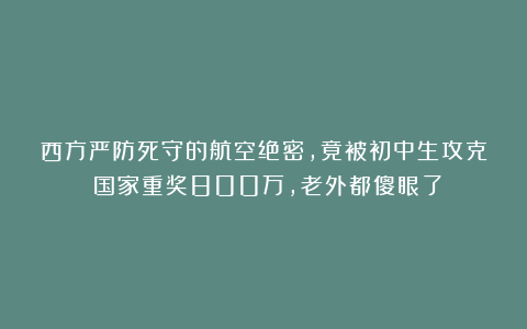 西方严防死守的航空绝密，竟被初中生攻克！国家重奖800万，老外都傻眼了