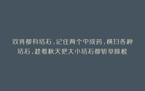 双肾都有结石，记住两个中成药，横扫各种结石，趁着秋天把大小结石都斩草除根！