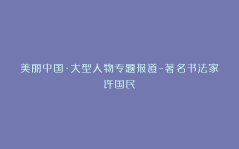 美丽中国·大型人物专题报道-著名书法家许国民