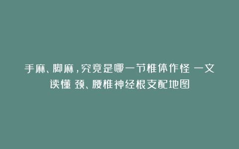 手麻、脚麻，究竟是哪一节椎体作怪？一文读懂：颈、腰椎神经根支配地图