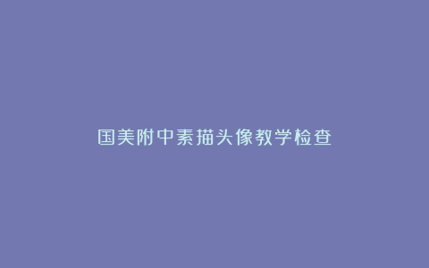 国美附中素描头像教学检查