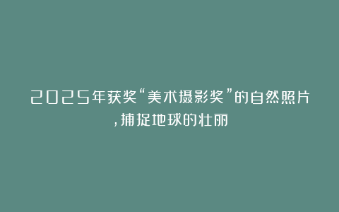 2025年获奖“美术摄影奖”的自然照片，捕捉地球的壮丽
