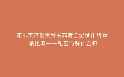 浦东美术馆奥赛展高清全纪录11（终章）：纳比派——私密与装饰之间