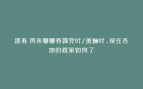 速看！再来聊聊香露兜叶/斑斓叶，现在各地的政策如何了？