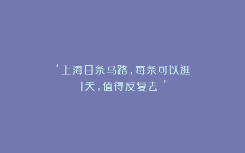 ‘上海8条马路，每条可以逛1天，值得反复去！’