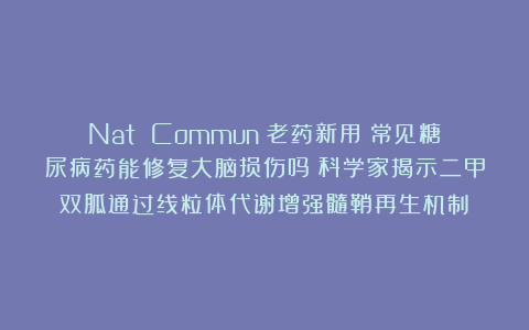 Nat Commun：老药新用！常见糖尿病药能修复大脑损伤吗？科学家揭示二甲双胍通过线粒体代谢增强髓鞘再生机制​