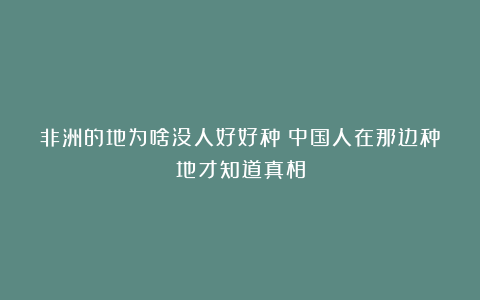 非洲的地为啥没人好好种？中国人在那边种地才知道真相
