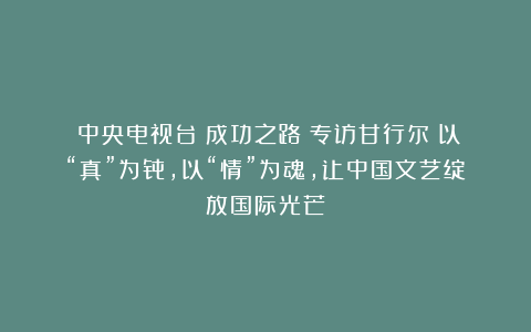 ​中央电视台《成功之路》专访甘行尔：以“真”为骨，以“情”为魂，让中国文艺绽放国际光芒