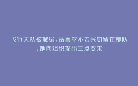 飞行大队被撤编，岳喜翠不去民航留在部队，她向组织提出三点要求