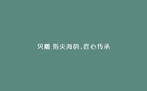 贝雕|指尖海韵，匠心传承