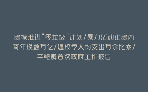 墨城推进“零垃圾”计划/暴力活动让墨西哥年损数万亿/返校季人均支出万余比索/辛鲍姆首次政府工作报告
