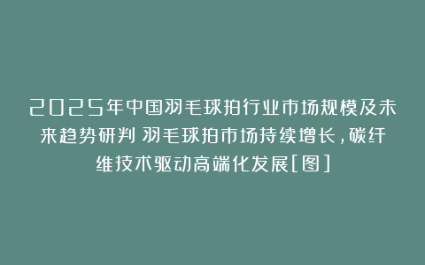 2025年中国羽毛球拍行业市场规模及未来趋势研判：羽毛球拍市场持续增长，碳纤维技术驱动高端化发展[图]