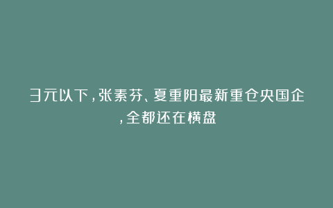 3元以下，张素芬、夏重阳最新重仓央国企，全都还在横盘