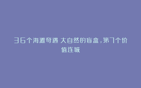 36个海滩奇遇！大自然的盲盒，第7个价值连城