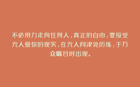 不必用力走向任何人，真正的自由，要接受无人爱你的现实，在无人问津处历练，于万众瞩目时出现。