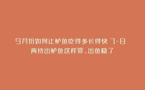 9月份如何让鲈鱼吃得多长得快？7-8 两待出鲈鱼这样管，出鱼稳了！