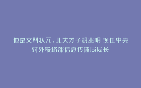 他是文科状元，北大才子胡兆明：现任中央对外联络部信息传播局局长！