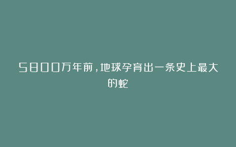 5800万年前，地球孕育出一条史上最大的蛇