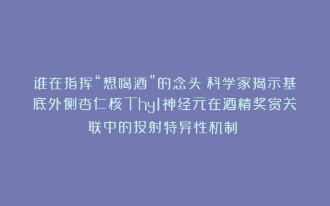 谁在指挥“想喝酒”的念头？科学家揭示基底外侧杏仁核Thy1神经元在酒精奖赏关联中的投射特异性机制​​