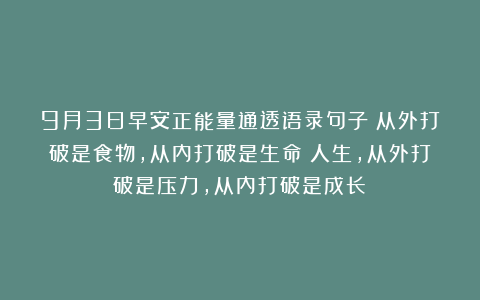 9月3日早安正能量通透语录句子：从外打破是食物，从内打破是生命；人生，从外打破是压力，从内打破是成长！
