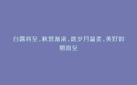 白露将至，秋意渐浓，愿岁月温柔，美好如期而至～