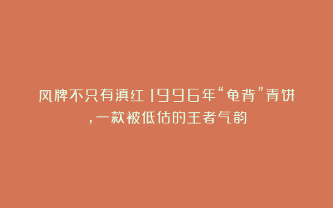 凤牌不只有滇红！1996年“龟背”青饼，一款被低估的王者气韵