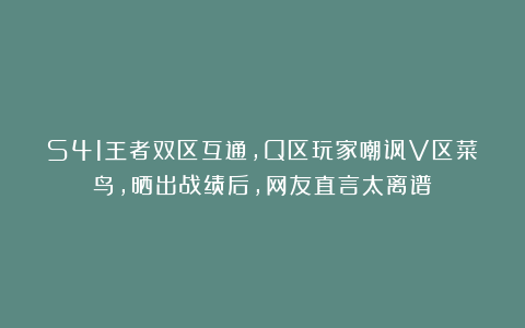 S41王者双区互通，Q区玩家嘲讽V区菜鸟，晒出战绩后，网友直言太离谱
