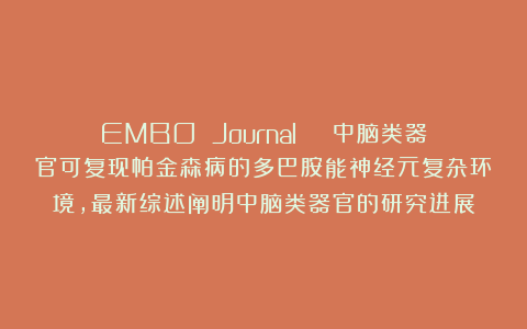 EMBO Journal | 中脑类器官可复现帕金森病的多巴胺能神经元复杂环境，最新综述阐明中脑类器官的研究进展