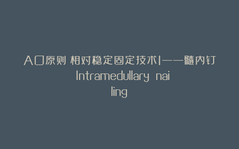 AO原则：相对稳定固定技术1——髓内钉 Intramedullary nailing
