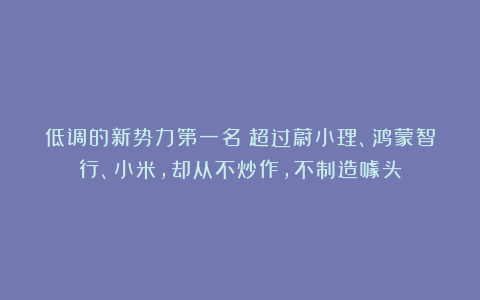 低调的新势力第一名：超过蔚小理、鸿蒙智行、小米，却从不炒作，不制造噱头