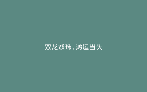 双龙戏珠，鸿运当头