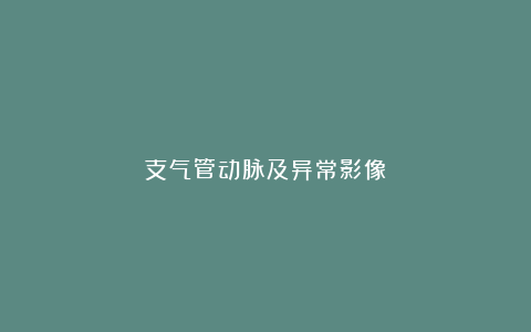 支气管动脉及异常影像