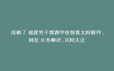 成精了？福建男子偶遇甲鱼朝着太阳膜拜，网友：长寿秘诀，采阳大法！
