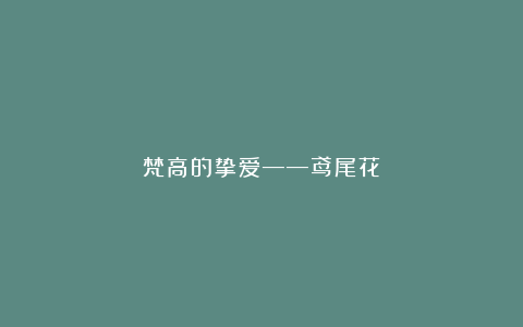 梵高的挚爱——鸢尾花