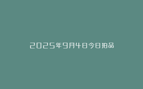 2025年9月4日今日拍品