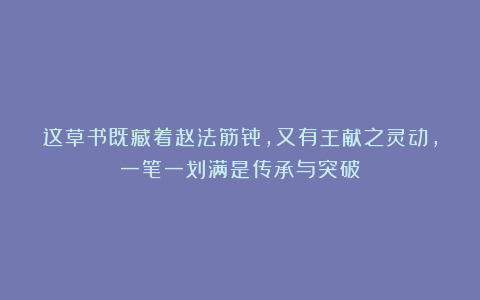 这草书既藏着赵法筋骨,又有王献之灵动,一笔一划满是传承与突破