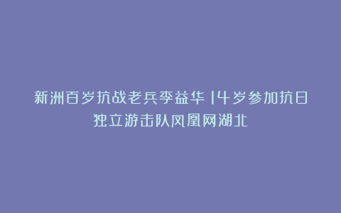 新洲百岁抗战老兵李益华：14岁参加抗日独立游击队凤凰网湖北