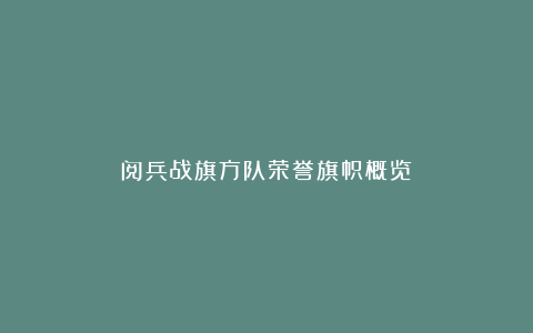 阅兵战旗方队荣誉旗帜概览