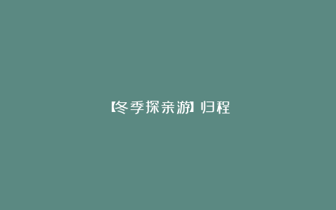 【冬季探亲游】归程