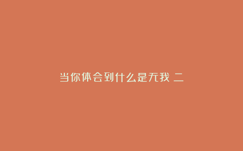 当你体会到什么是无我（二）