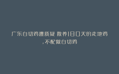 广东白切鸡遭质疑！散养180天的走地鸡，不配做白切鸡？