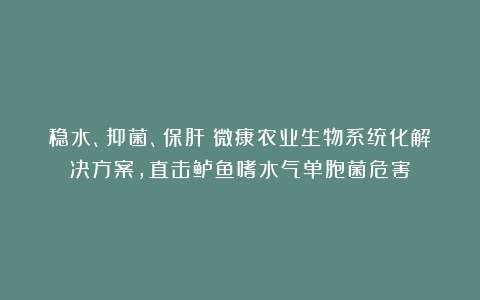 稳水、抑菌、保肝：微康农业生物系统化解决方案，直击鲈鱼嗜水气单胞菌危害