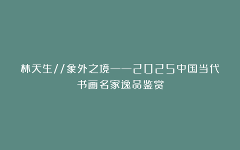 林天生//象外之境——2025中国当代书画名家逸品鉴赏