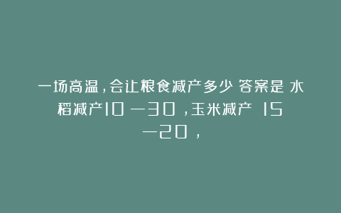一场高温，会让粮食减产多少？答案是：水稻减产10%—30%，玉米减产 15%—20%，