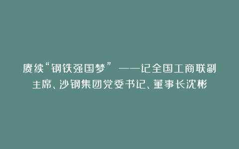 赓续“钢铁强国梦” ——记全国工商联副主席、沙钢集团党委书记、董事长沈彬