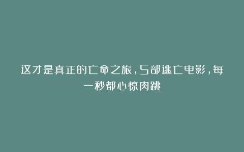 这才是真正的亡命之旅，5部逃亡电影，每一秒都心惊肉跳！