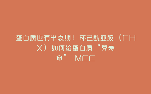 蛋白质也有半衰期! 环己酰亚胺 (CHX) 如何给蛋白质 “算寿命”？| MCE