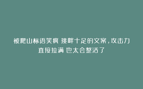 被爬山标语笑疯！挑衅十足的文案，攻击力直接拉满！也太会整活了！