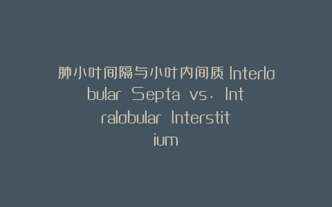 肺小叶间隔与小叶内间质（Interlobular Septa vs. Intralobular Interstitium）